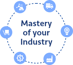 Mastery of your Industry
