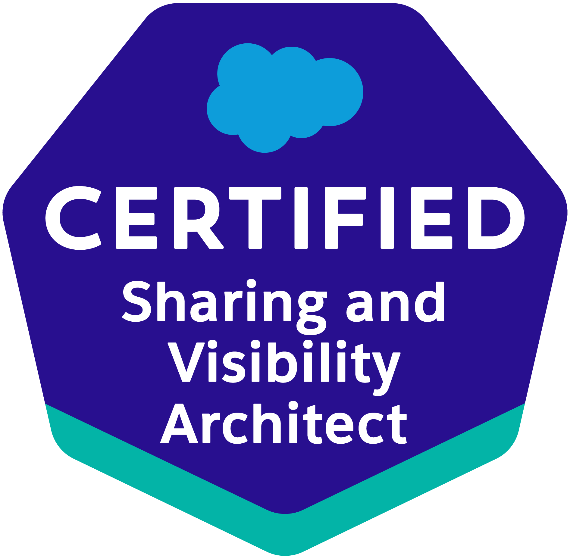 Certified Sharing and Visibility Architect