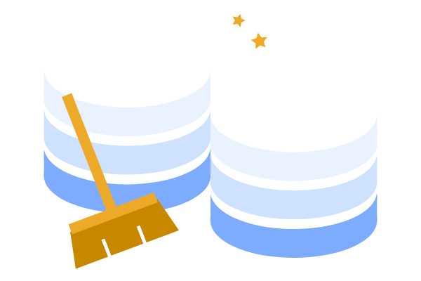 Data Cleaning Service