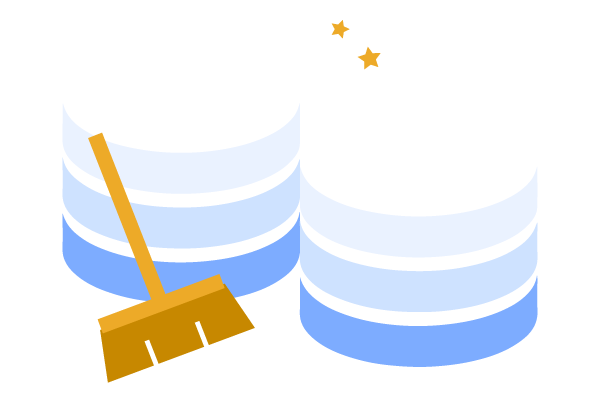 Data Cleaning Service