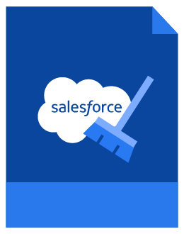 Salesforce Data Cleansing Best Practices to Better Your CRM