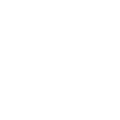 Centripetal Networks