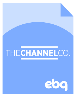 The Channel Co Case Study