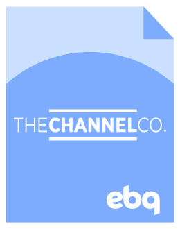 The Channel Co Case Study