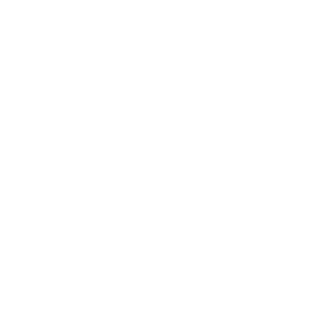 white outline icon crm-3