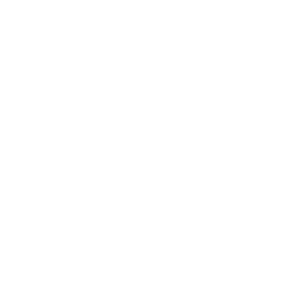 white outline icon crm-5