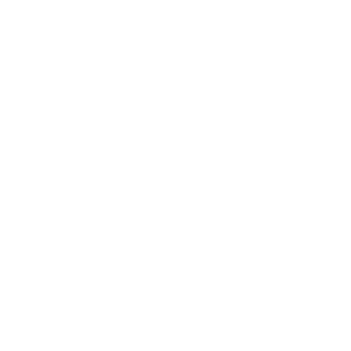 white outline icon crm