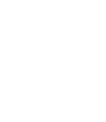 Asset INC