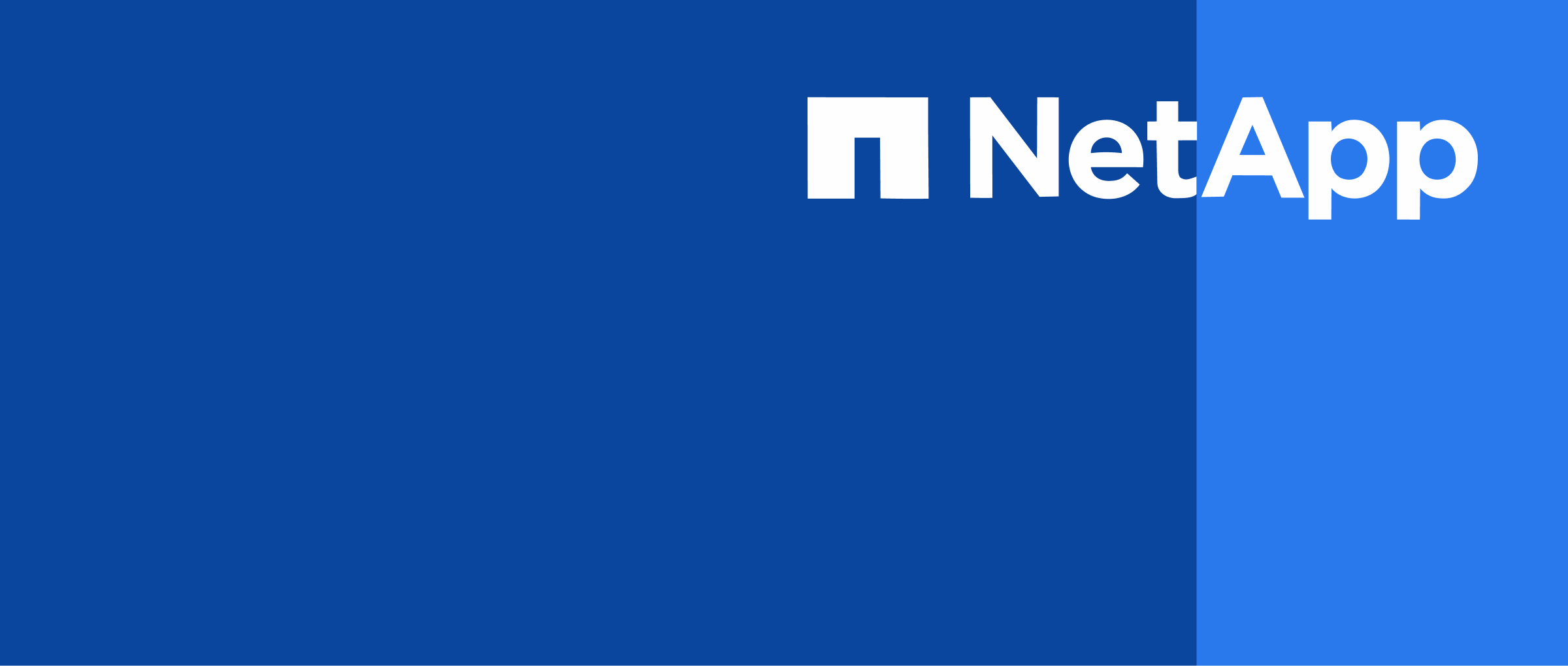 Net App case study
